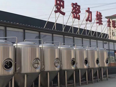 阳江精酿啤酒设备厂—市场规模与跨界新需求